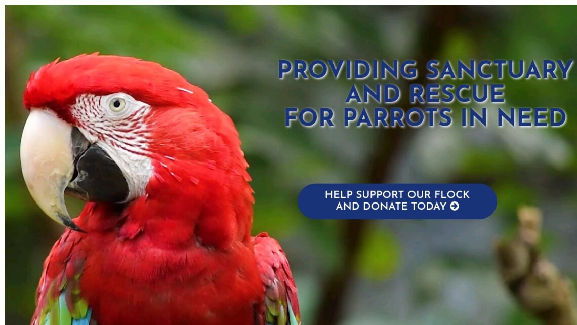 RUFFLED FEATHERS PARROT RESCUE AND SANCTUARY